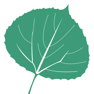 Sarah Rothstein, LCSW